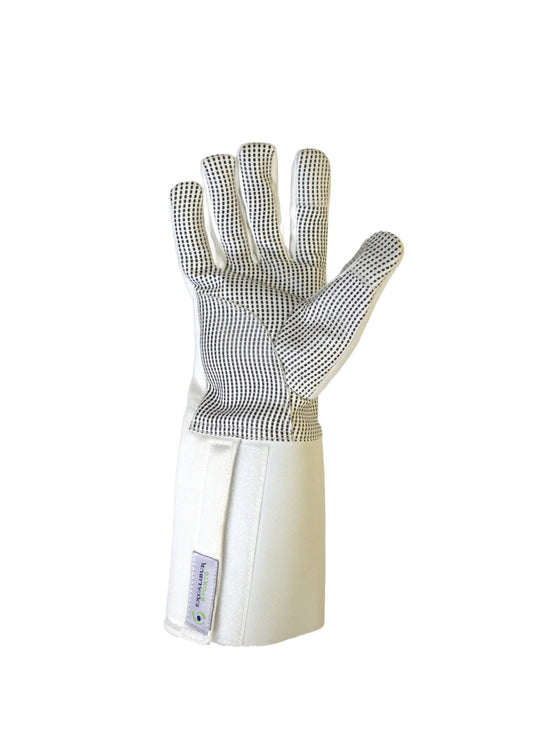Fortschrittlicher Handschuh